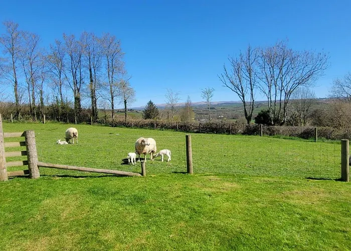 18Th Century Renovated Barn In Beautiful Devon Countryside