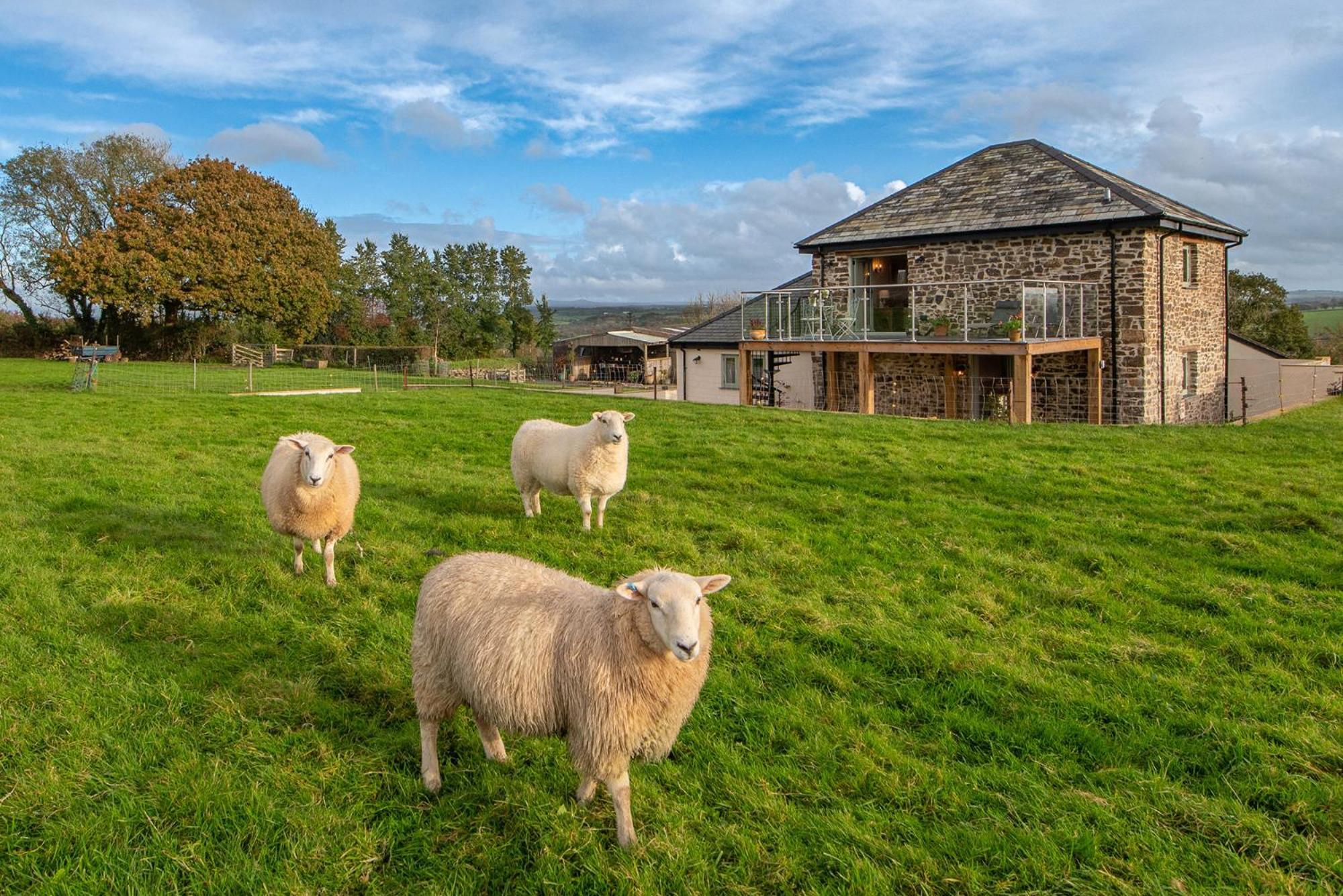 18th Century Renovated Barn In Beautiful Devon Countryside Broadwoodwidger
