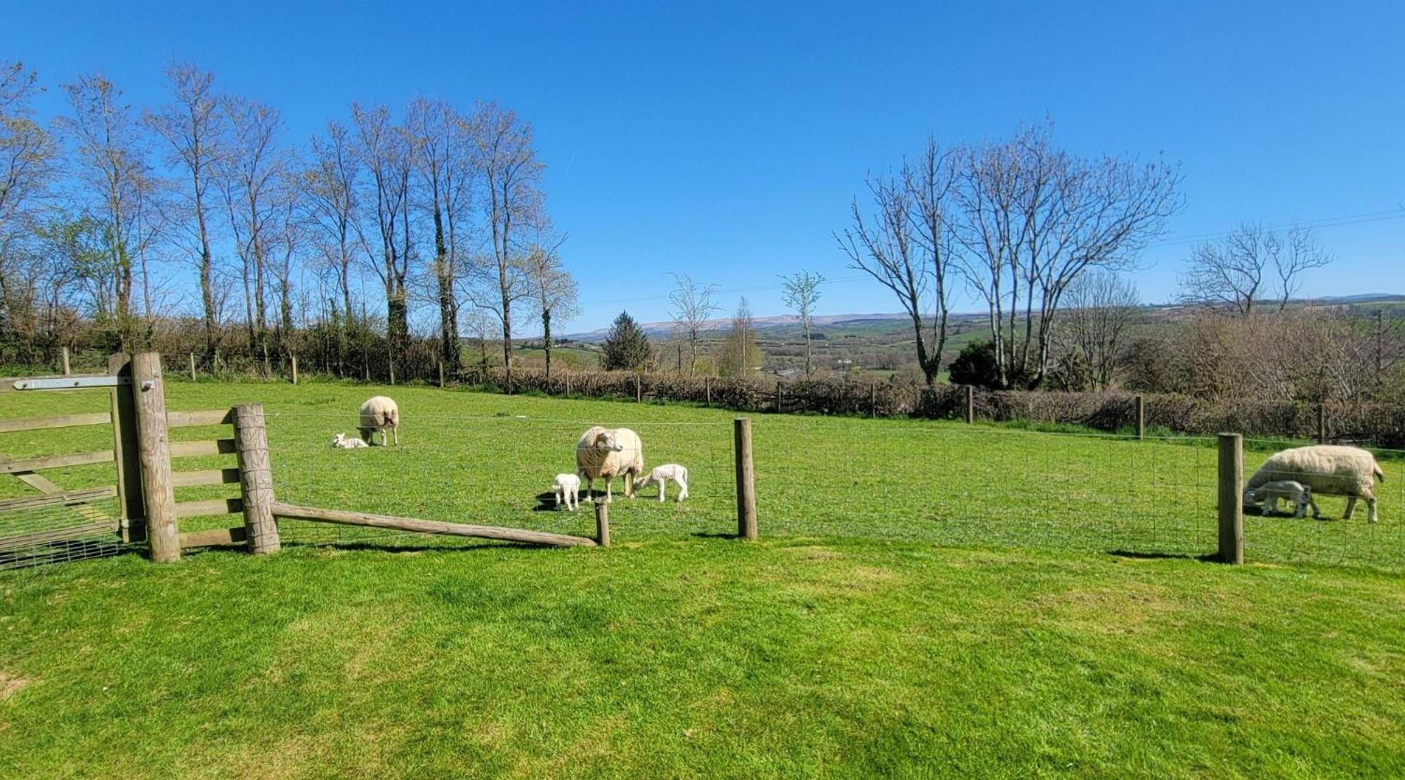 18th Century Renovated Barn In Beautiful Devon Countryside Holiday home *